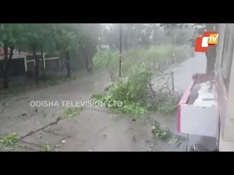 Cyclone Tauktae Aftermath | Visuals From Goa