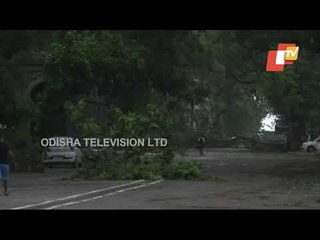 Cyclone Tauktae Aftermath | Large Scale Destruction