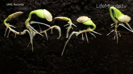 New Music from H.E.R., Styx, Tom Morello, and Buckcherry