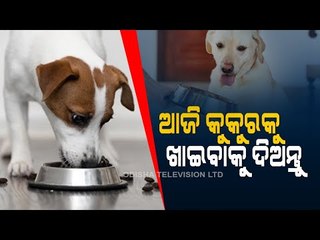 Bhagyarekha | Know Your Horoscope For Today 19 May 2021 |OTV