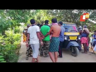 Elephants Wreak Havoc In Dhenkanal Village, Farmer Injured