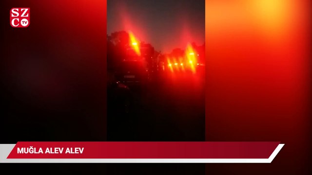 Muğla alev alev, bu kez Milas’ta orman yangını