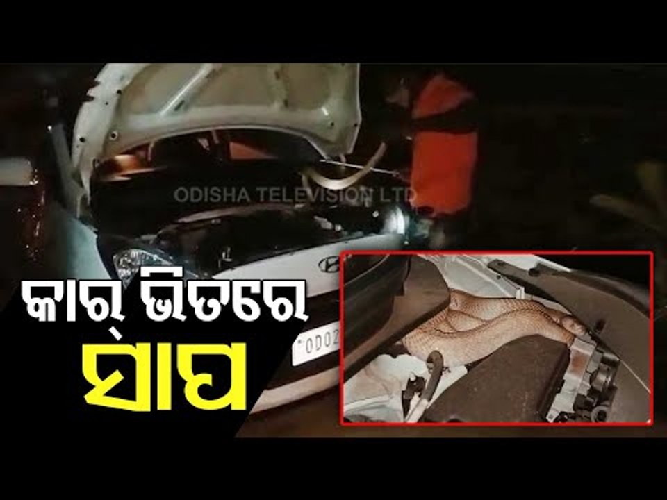 Snake Rescued From Car Bonnet In Pipili