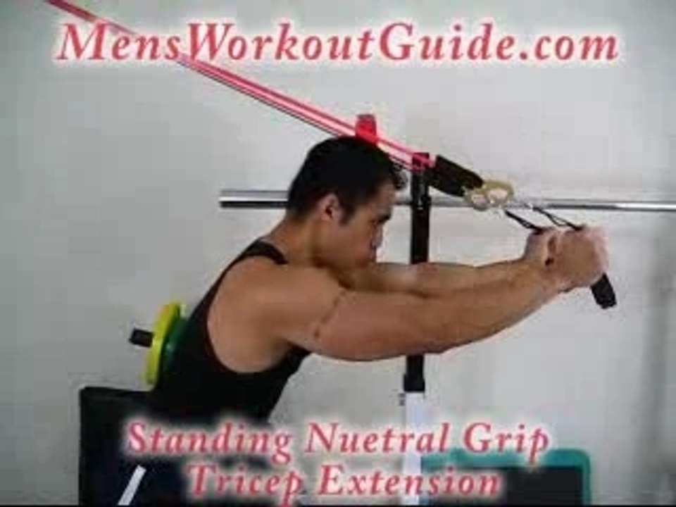 Exercise of the Day: Standing Neutral Grip Tricep Extension