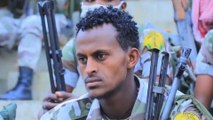 الحكومة الإثيوبية تعلن وقفا لإطلاق النار في إقليم تيغراي