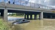 Michigan Freeway Flooded for Days after Heavy Rainfall hits Detroit