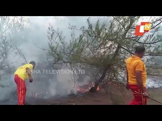 Fire In Konark | 20 Acre Of Forest Land Reduced To Ashes