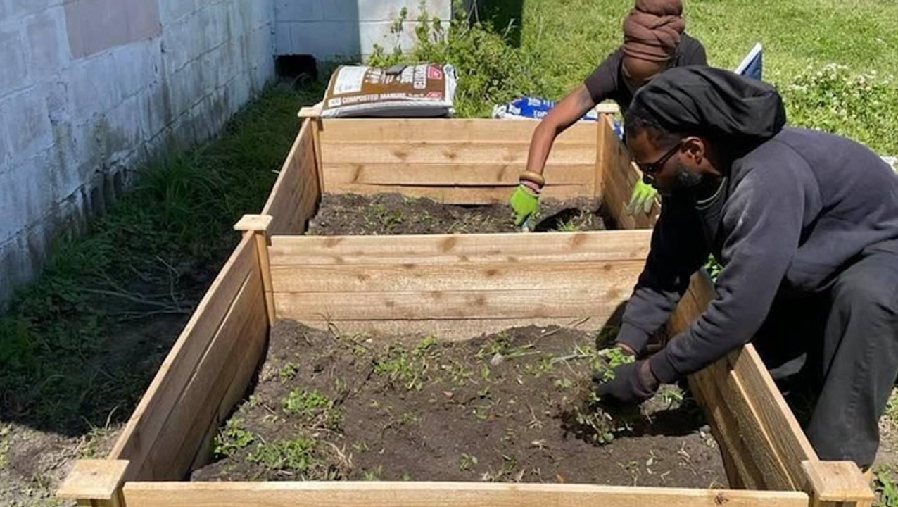 Gardens growing communities