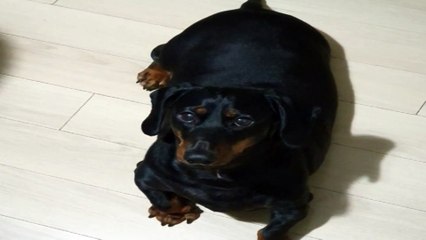 [SH] 사용여부 테스트 2