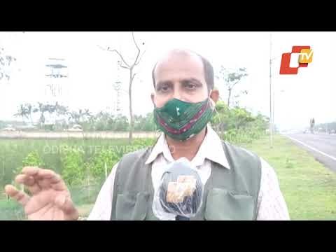 Cyclone Yaas Preparedness In Paradip Port