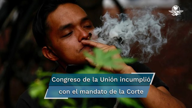 Corte anula prohibición del uso lúdico de la marihuana