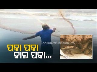 Cyclone Yaas | People Rush To Seashore To Catch Fish In Balasore