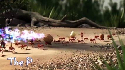 Leadership and effective collaboration.