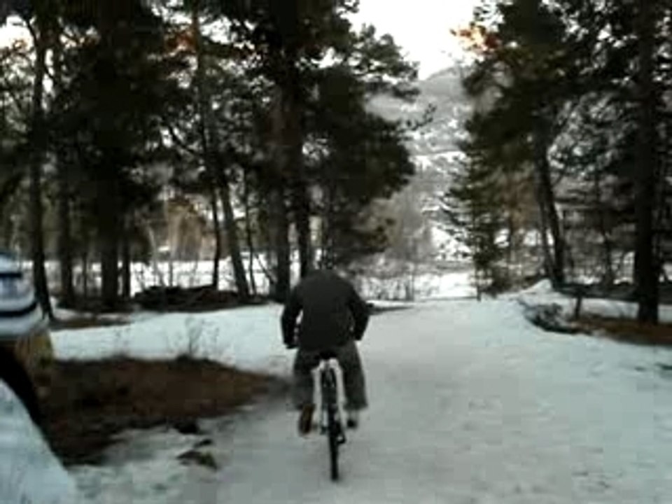 Tibaut