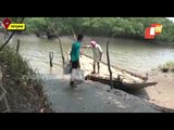 Sans Bridge, Boat Serving As Means Of Transportation In Pattamundai