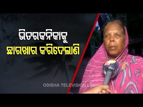 Cyclone Yaas- Strong Winds Damage Trees In Bhitarkanika Park