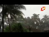 Cyclone Yaas | Strong Wind, Heavy Rainfall In Chandbali Area Of Bhadrak