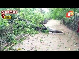 Video herunterladen: Cyclone Yaas | Trees Uprooted, Houses Damaged In Mayurbhanj