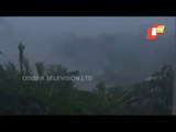 Cyclone Yaas Weakens Into Deep Depression