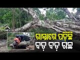 Many Villages Inundated, Trees Uprooted In Nilagiri Area After Cyclone Yaas