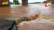 Cyclone Yaas | Panic Grips Keonjhar Residents As Baitarani River Swells