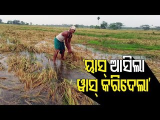 Acres Of Crop Damaged Due To Cyclone Yaas In Sambalpur