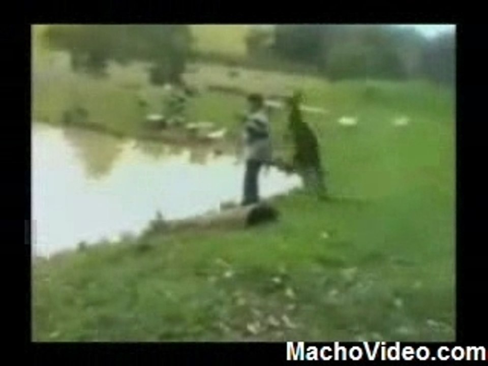 kangourou marrant qui pousse un homme dans un lac - amazing