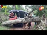 Cyclone Yaas Wreaks Havoc In Nilagiri, Damages Houses