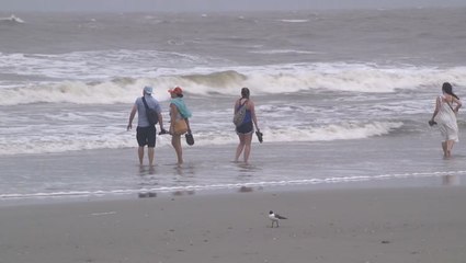 Tropical Storm Danny brings strong winds to South Carolina coast