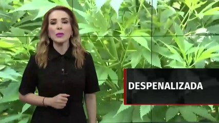 Azucena por Milenio, 28 de junio de 2021