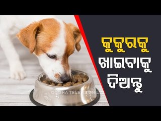 Bhagyarekha | Know Your Horoscope For Today 29 May 2021 | OTV