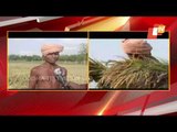 Cyclone Yaas Damages Standing Crops In Balasore's Nilagiri