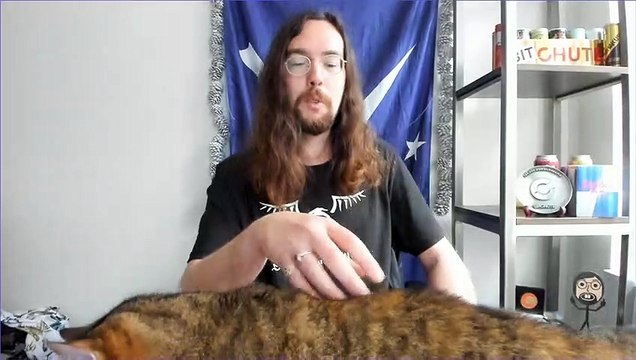 Banning Critical Race Theory From Being Taught in Schools Isn't a Violation of Free Speech