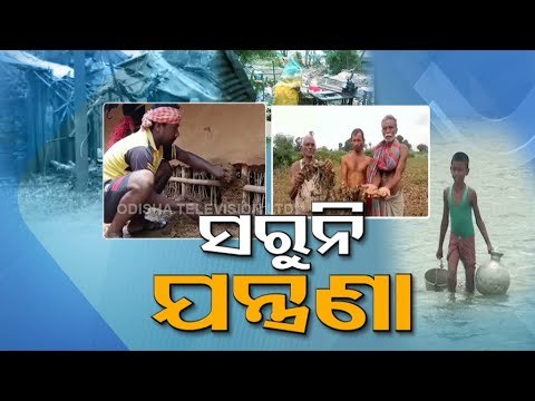 Cyclone Yaas Damages Acres Of Crops In Bhadrak, Leaves Farmers In Lurch