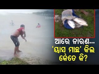 New Fuse | People Catch Fish Despite Cyclone Yaas Warning