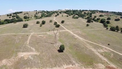 Söğüt Altın Madeni Projesi'nde hedef 2022 yılının sonunda ilk altını dökmek