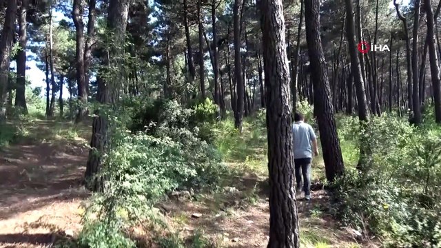 Sancaktepe’de kaybolan gencin cesedi ormanda ağaca asıl halde bulundu