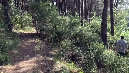 23 gündür kayıp olan gencin cesedi ormanda ağaca asıl halde bulundu