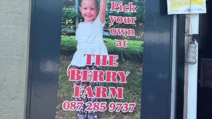 Strawberry Farm Wexford, Ireland