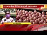 Irregularities Alleged At Ground Nut Mandi In Malkangiri