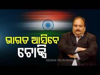 Tải video: India Has Sent A Special Team To Antigua For Repatriation Of Mehul Choksi