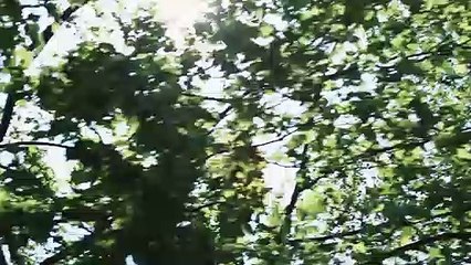 Find your fashion flair with the HUAWEI P30 Pro