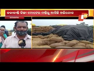 Download Video: Paddy Procurement Mismanagement Alleged At Moter Mandi, Kalahandi