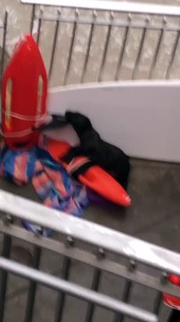 Baby Seal Rescued and Reunited With Mother