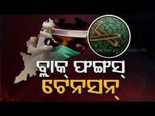 Black Fungus & Death Toll In Odisha | Details You Must Know