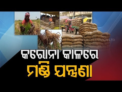 Paddy Procurement Mismanagement Alleged In Sambalpur & Kalahandi - OTV Report