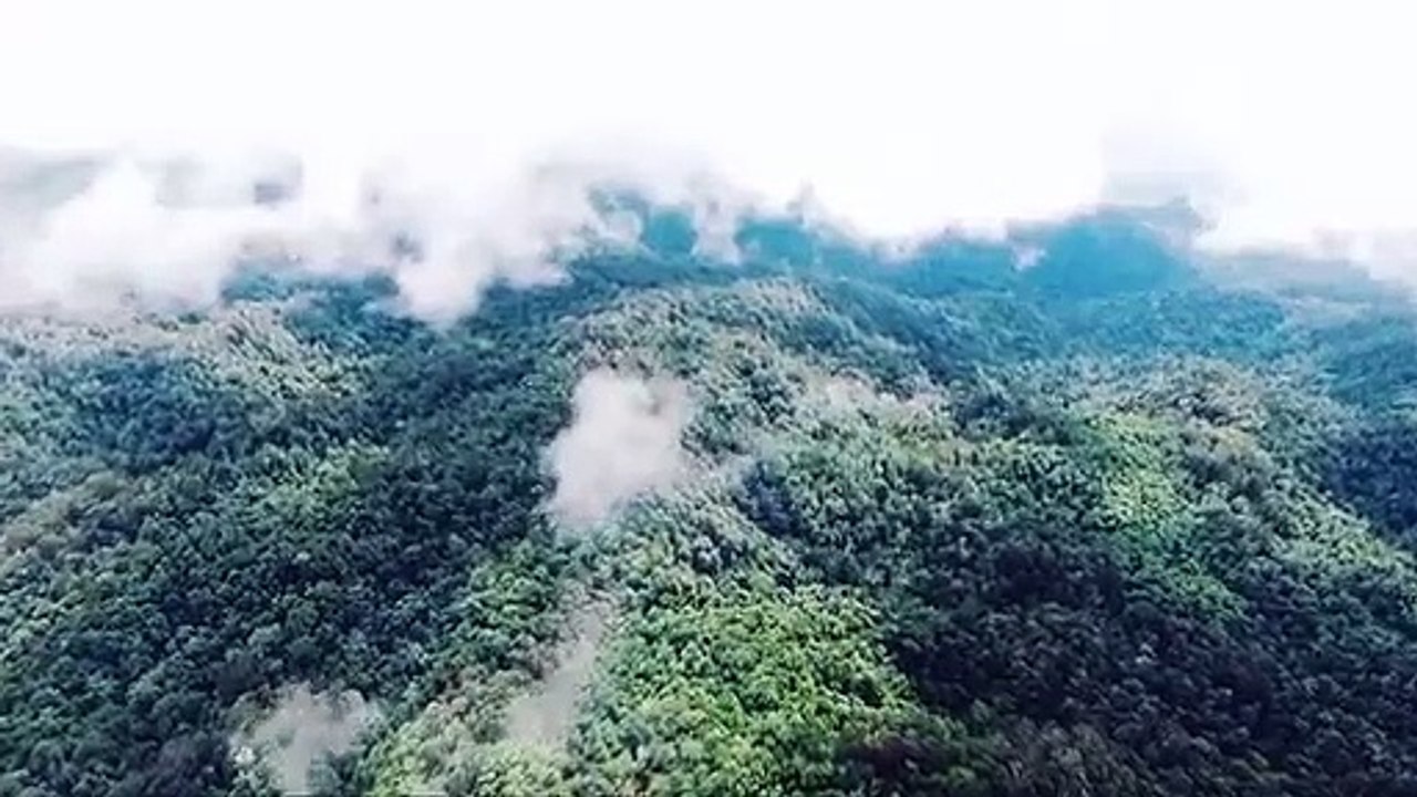 Video 2