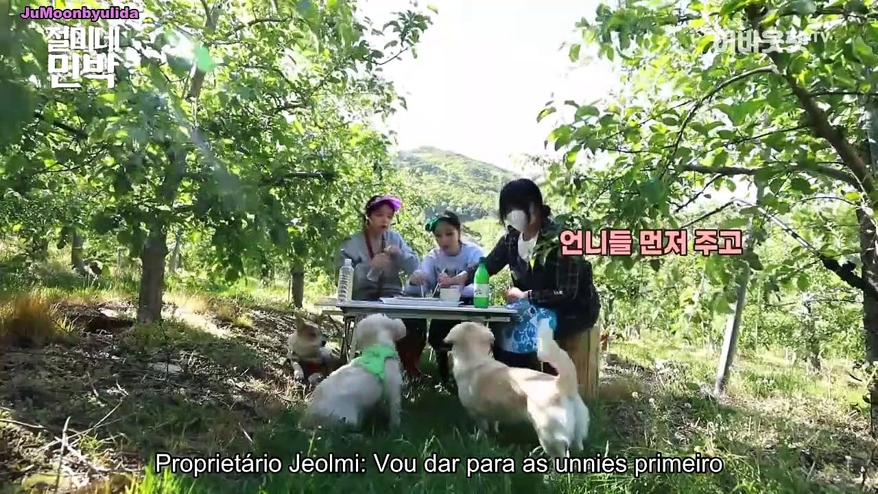 [PT-BR] EP 5 Sobre Pet - Solar e Moonbyul