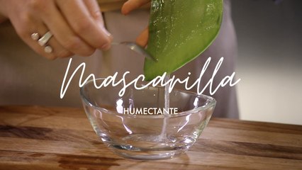 Mascarilla casera humectante - Plantas medicinales - Cómo preparar en casa