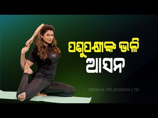 OTV Special Programme Roga Pain Yoga